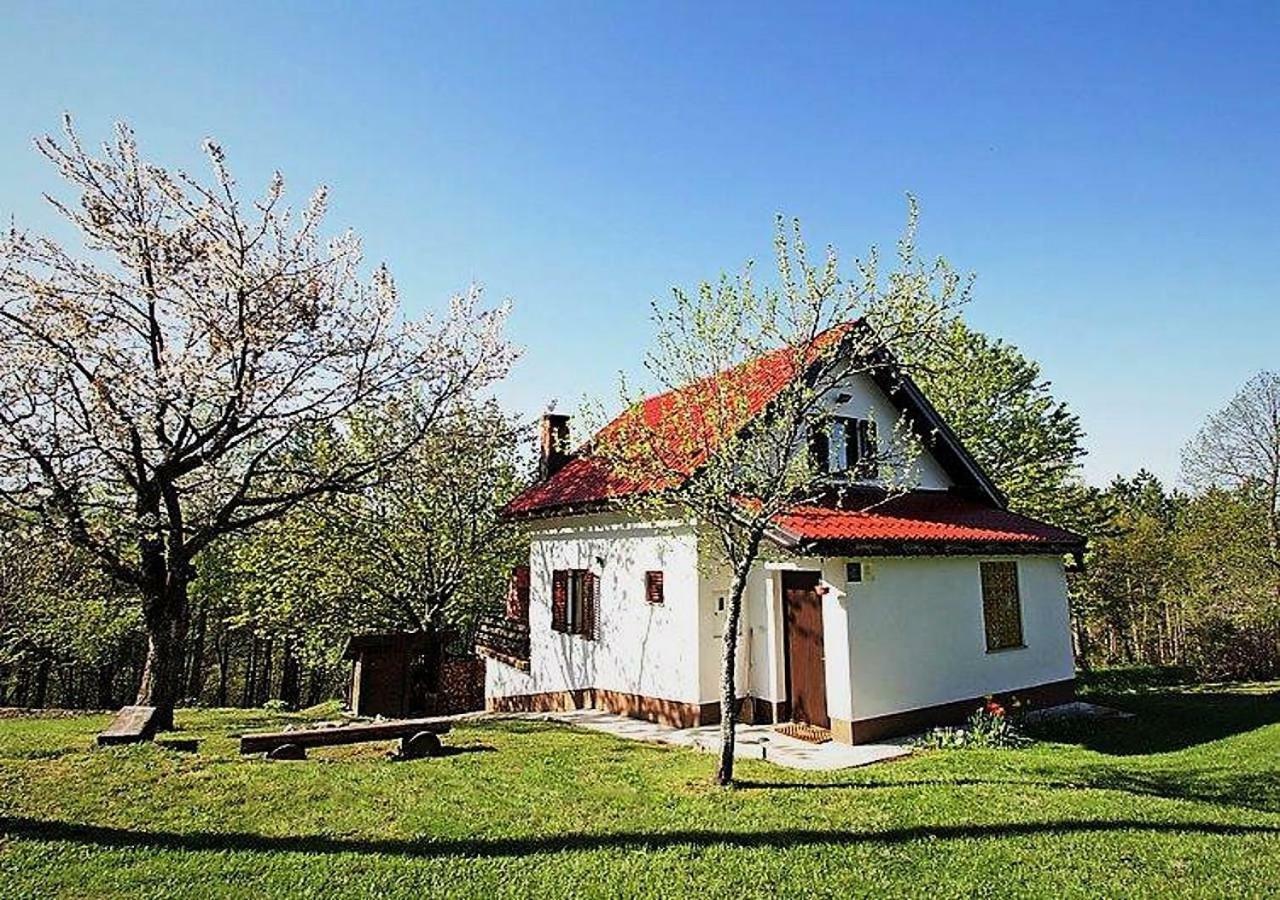 Holiday Home Coprnicka Hisa Skrad Luaran gambar